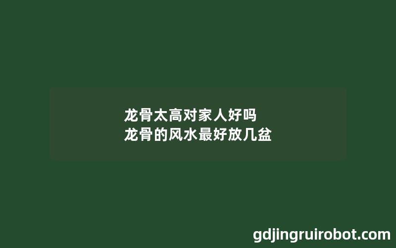 龙骨太高对家人好吗 龙骨的风水最好放几盆