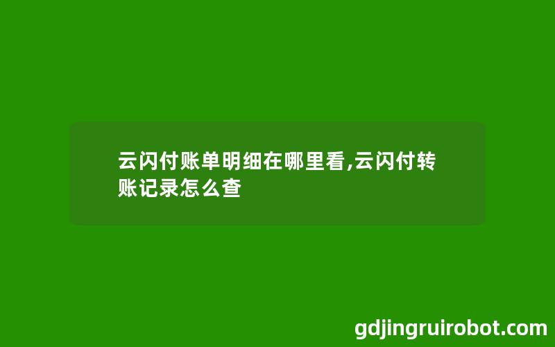 云闪付账单明细在哪里看,云闪付转账记录怎么查