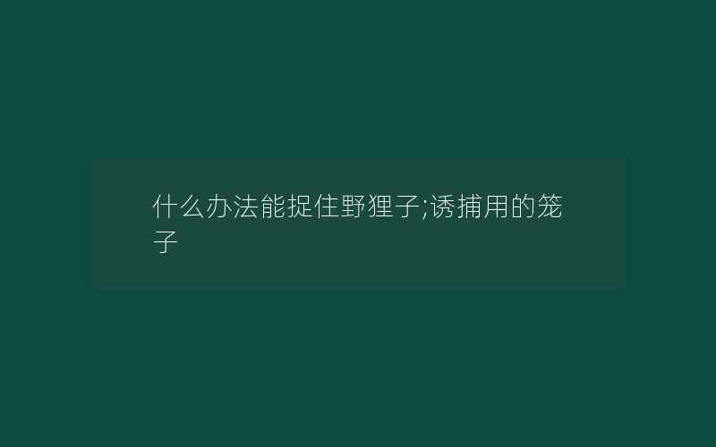 什么办法能捉住野狸子;诱捕用的笼子