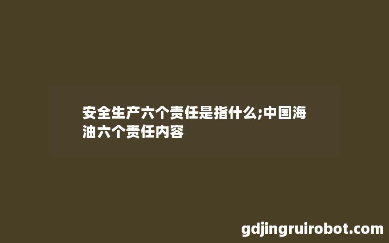 安全生产六个责任是指什么;中国海油六个责任内容