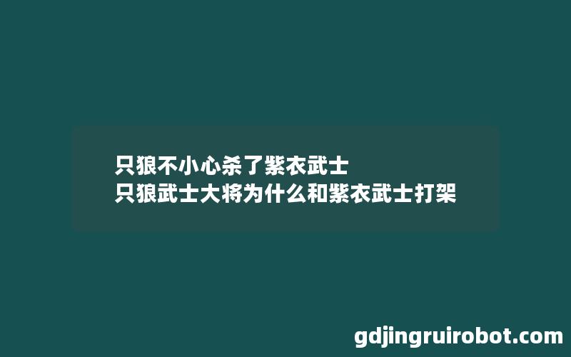 只狼不小心杀了紫衣武士 只狼武士大将为什么和紫衣武士打架