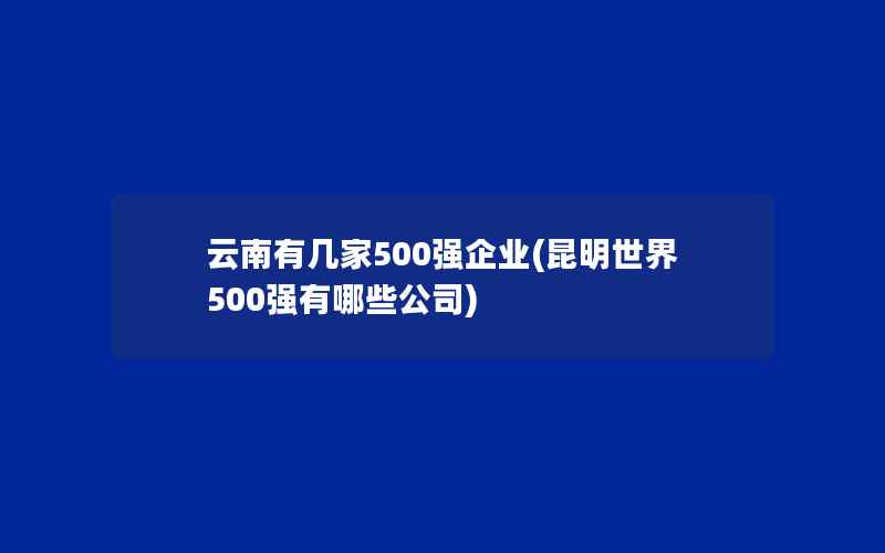 云南有几家500强企业(昆明世界500强有哪些公司)