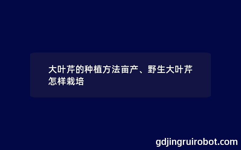 大叶芹的种植方法亩产、野生大叶芹怎样栽培