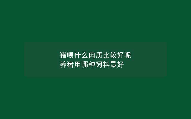 猪喂什么肉质比较好呢 养猪用哪种饲料最好