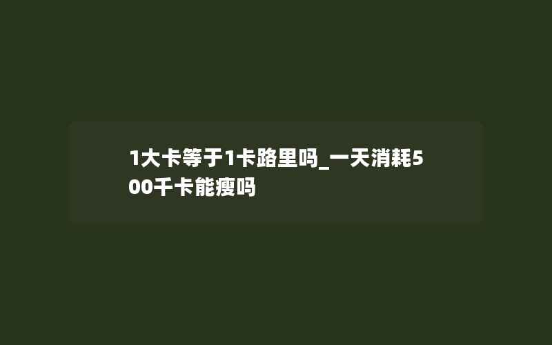 1大卡等于1卡路里吗_一天消耗500千卡能瘦吗