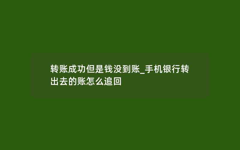 转账成功但是钱没到账_手机银行转出去的账怎么追回