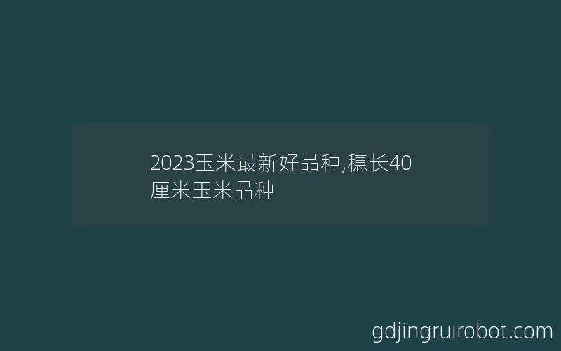 2023玉米最新好品种,穗长40厘米玉米品种