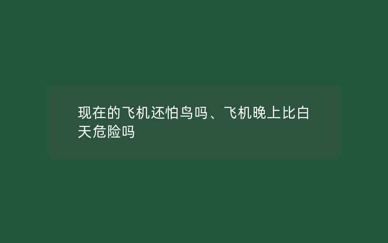 现在的飞机还怕鸟吗、飞机晚上比白天危险吗