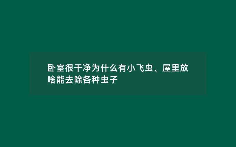 卧室很干净为什么有小飞虫、屋里放啥能去除各种虫子