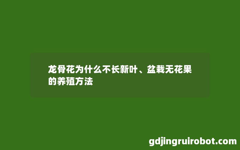 龙骨花为什么不长新叶、盆栽无花果的养殖方法