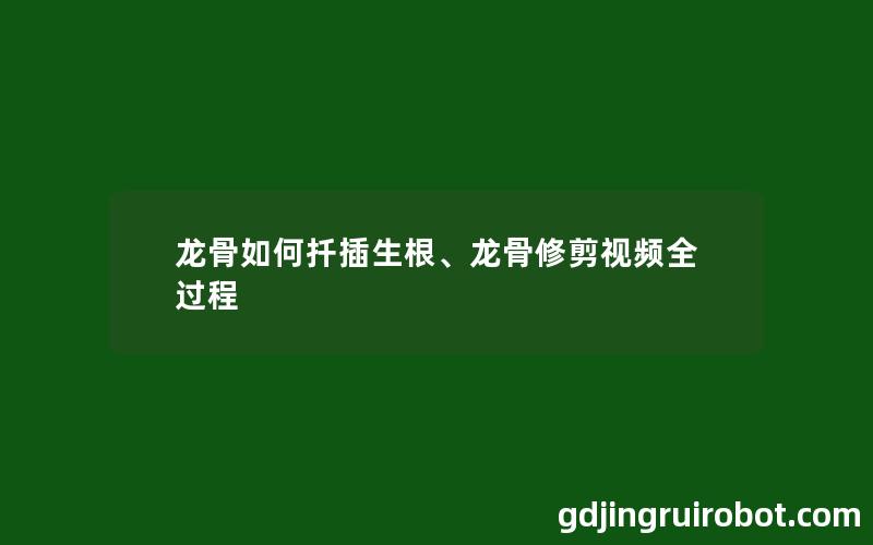 龙骨如何扦插生根、龙骨修剪视频全过程