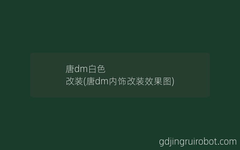 唐dm白色 改装(唐dm内饰改装效果图)