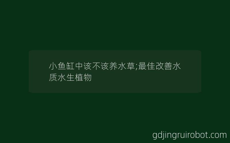 小鱼缸中该不该养水草;最佳改善水质水生植物