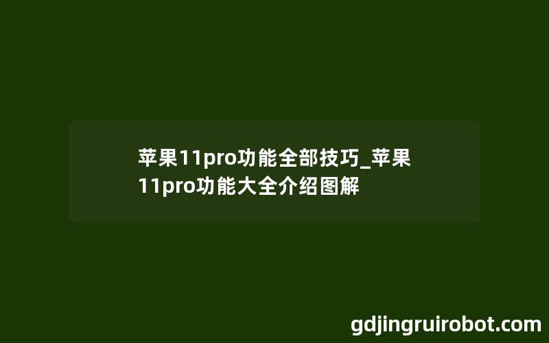 苹果11pro功能全部技巧_苹果11pro功能大全介绍图解