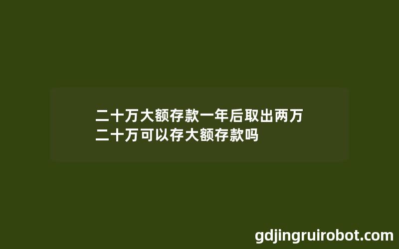 二十万大额存款一年后取出两万 二十万可以存大额存款吗