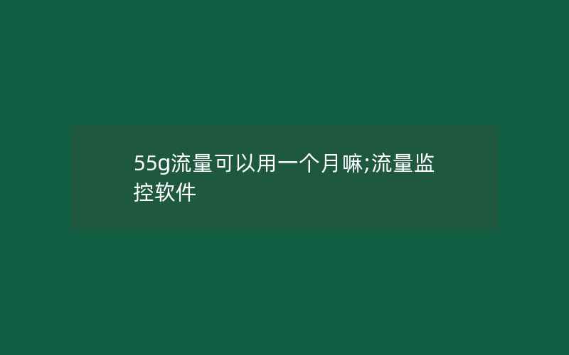 55g流量可以用一个月嘛;流量监控软件