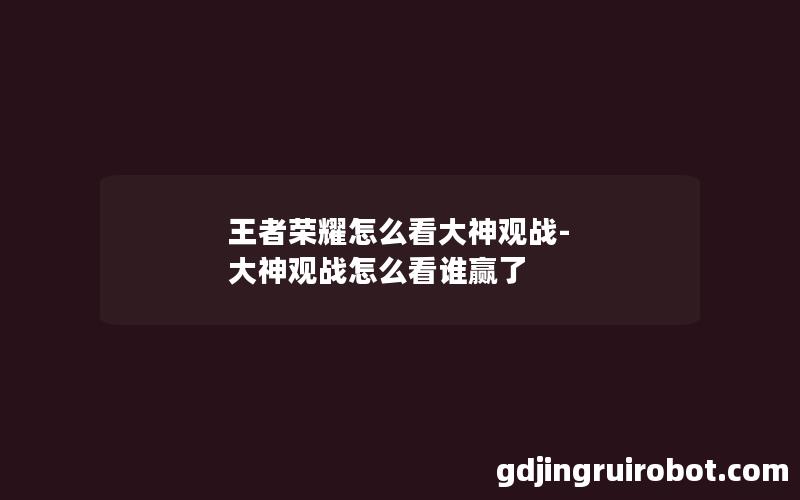 王者荣耀怎么看大神观战-大神观战怎么看谁赢了