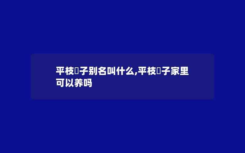 平枝栒子别名叫什么,平枝栒子家里可以养吗