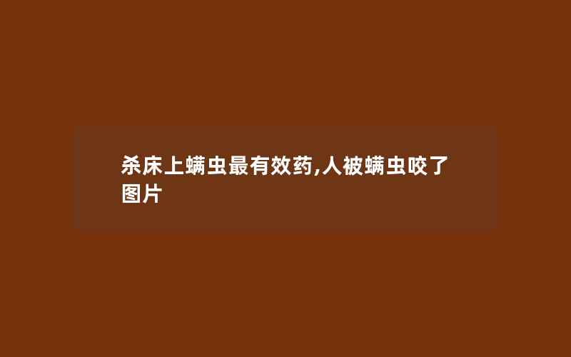 杀床上螨虫最有效药,人被螨虫咬了图片