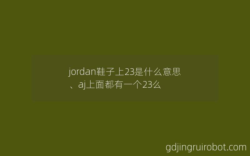 jordan鞋子上23是什么意思、aj上面都有一个23么