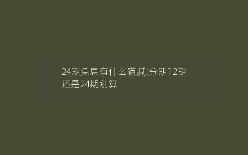 24期免息有什么猫腻;分期12期还是24期划算