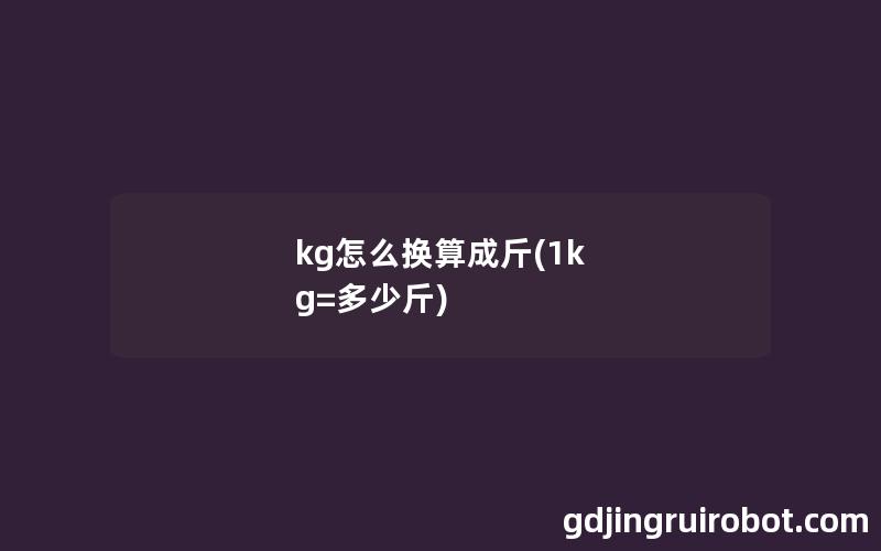 kg怎么换算成斤(1k g=多少斤)