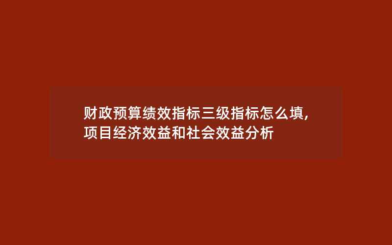 财政预算绩效指标三级指标怎么填,项目经济效益和社会效益分析