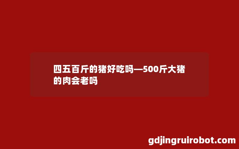 四五百斤的猪好吃吗—500斤大猪的肉会老吗