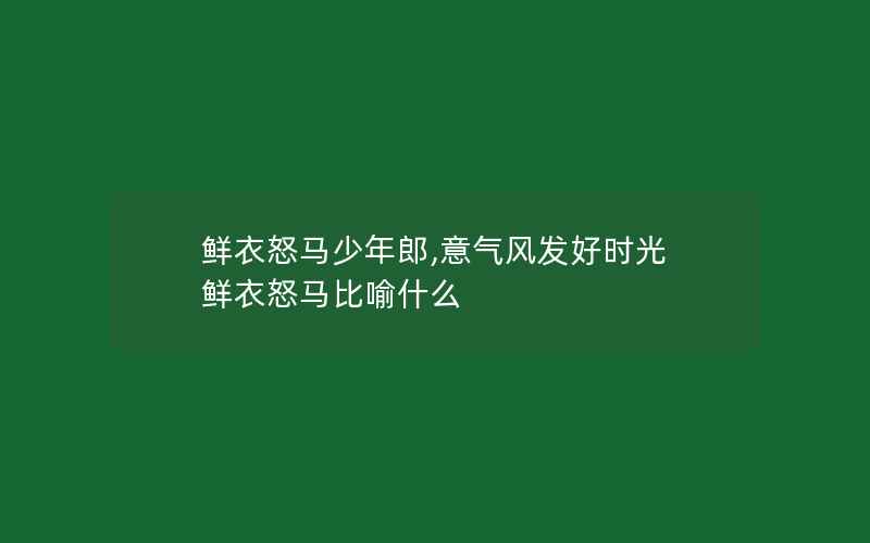 鲜衣怒马少年郎,意气风发好时光 鲜衣怒马比喻什么