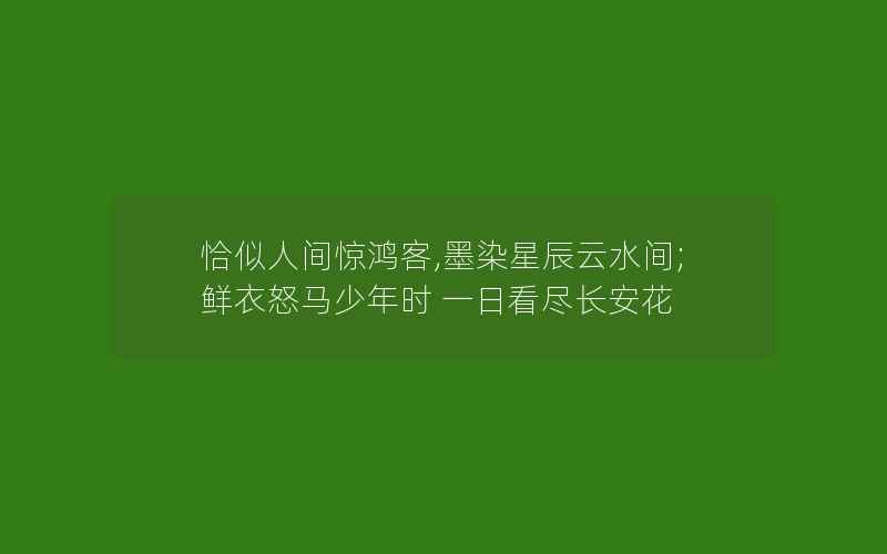 恰似人间惊鸿客,墨染星辰云水间;鲜衣怒马少年时 一日看尽长安花