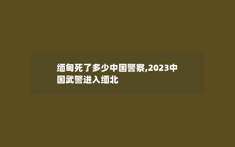 缅甸死了多少中国警察,2023中国武警进入缅北