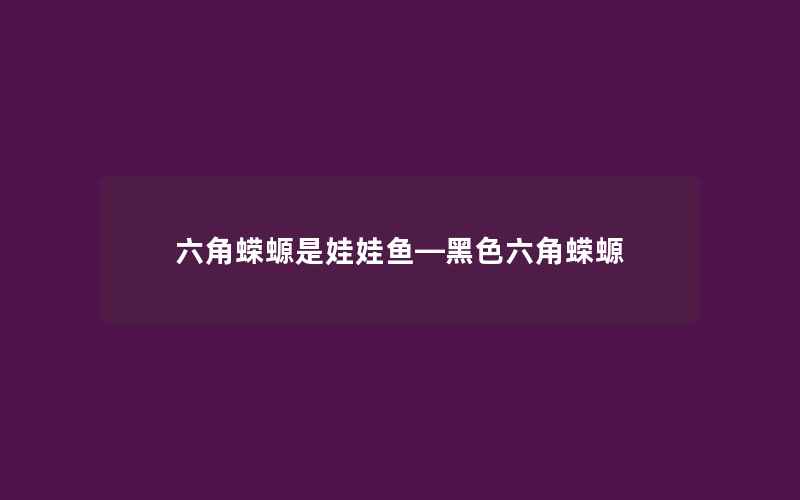 六角蝾螈是娃娃鱼—黑色六角蝾螈