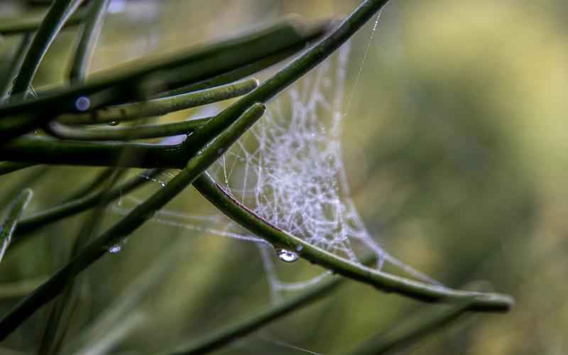 认缴制最高可以注册多少—新成立公司认缴资金规定