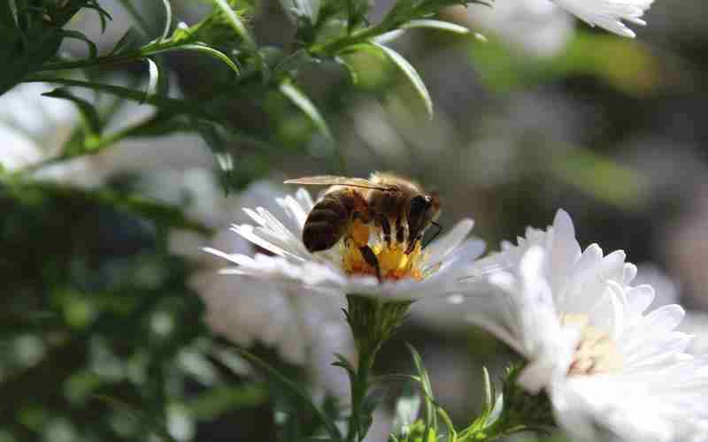 春夏秋冬搬家方向_一年四季哪个季节搬家最好